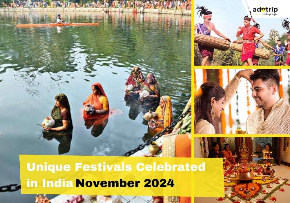 Unique Festivals in November in India